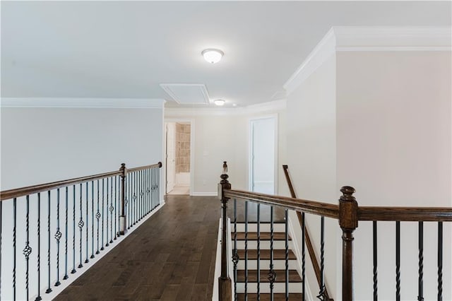 hallway featuring ornamental molding, an upstairs landing, attic access, and dark wood-style floors