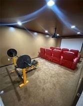615 Woodruff Rd, Carrollton, GA 30116 - cinema with carpet