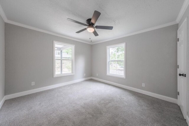 spare room featuring plenty of natural light, a textured ceiling, ornamental molding, carpet flooring, and baseboards