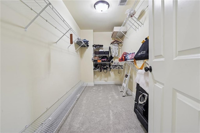 walk in closet with carpet and visible vents
