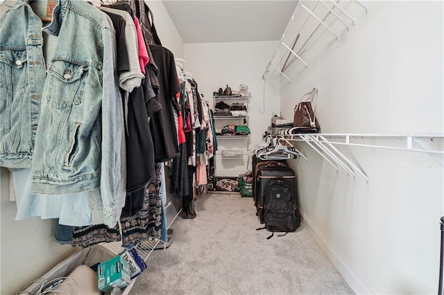 spacious closet with carpet floors