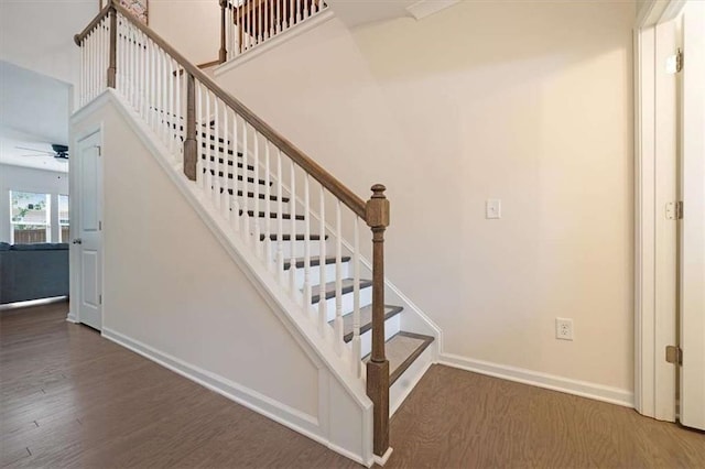 stairs featuring ceiling fan and hardwood / wood-style floors