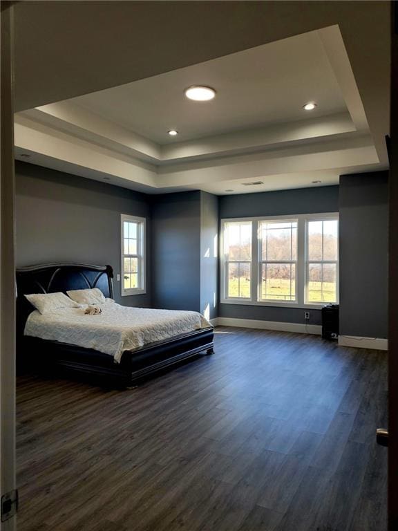 bedroom with dark hardwood / wood-style floors, a raised ceiling, and multiple windows