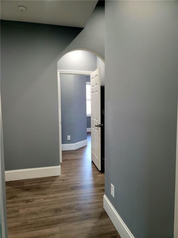 corridor featuring wood-type flooring