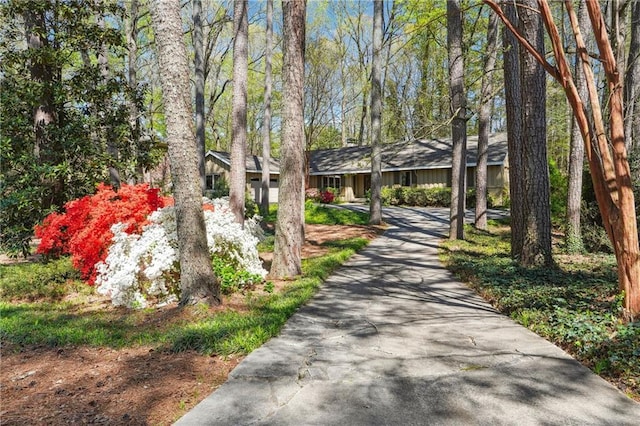 1959 Grand Prix Dr NE, Atlanta, GA 30345 - surrounding community featuring driveway