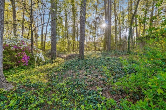 1959 Grand Prix Dr NE, Atlanta, GA 30345 - view of local wilderness