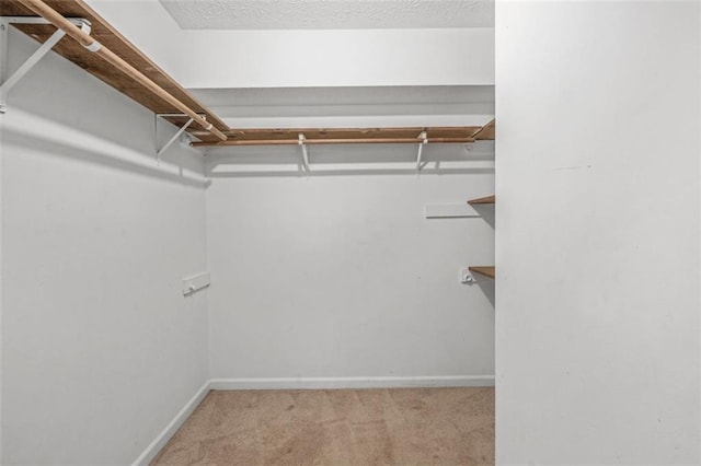 walk in closet featuring light colored carpet