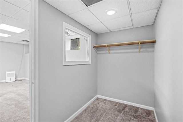 walk in closet featuring a drop ceiling and carpet flooring