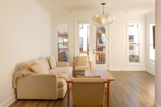 living area featuring ornamental molding and wood-type flooring