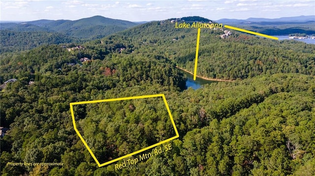 0 Red Top Mountain Rd, Cartersville GA, 30121 land for sale