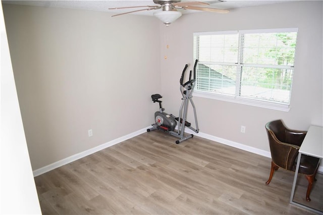 9130 Charlton Pl, Douglasville, GA 30135 - workout room with a ceiling fan and light wood-style floors