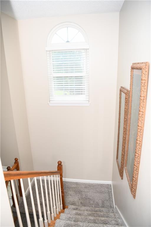9130 Charlton Pl, Douglasville, GA 30135 - bathroom with shower / bath combo with shower curtain and wood finished floors