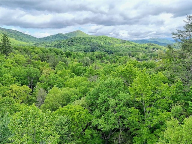 mountain view with a heavily wooded area