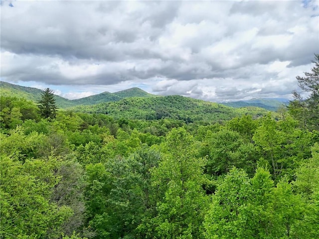 mountain view featuring a heavily wooded area