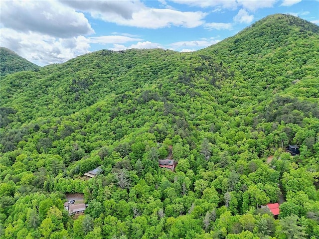 bird's eye view of a heavily wooded area and a mountainous background