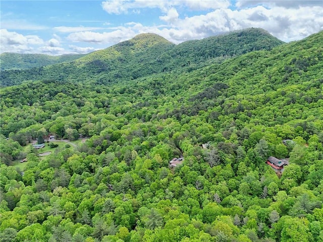 drone / aerial view of a heavily wooded area and a mountainous background
