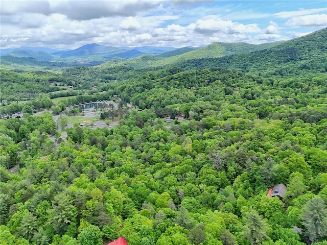 aerial view of a heavily wooded area and a mountain backdrop