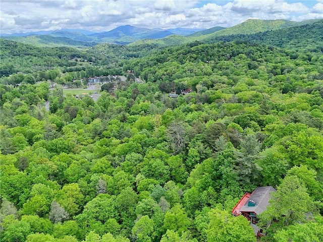 bird's eye view of a forest and a mountain backdrop