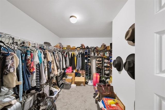 walk in closet with carpet flooring