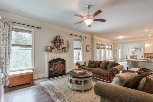 living room with crown molding, ceiling fan with notable chandelier, wood finished floors, and a fireplace