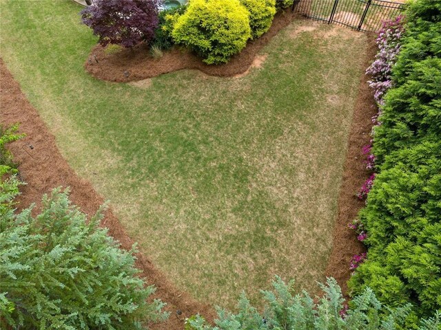 drone / aerial view