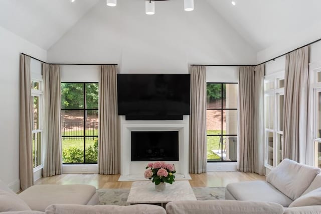 living room featuring high vaulted ceiling and wood finished floors