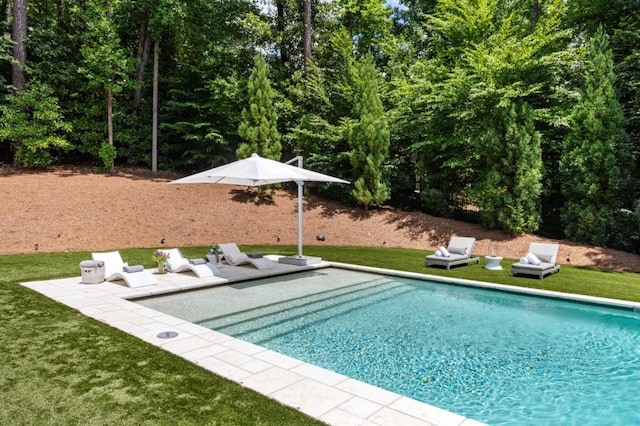 swimming pool featuring a patio and a yard