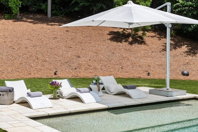 view of swimming pool featuring a patio