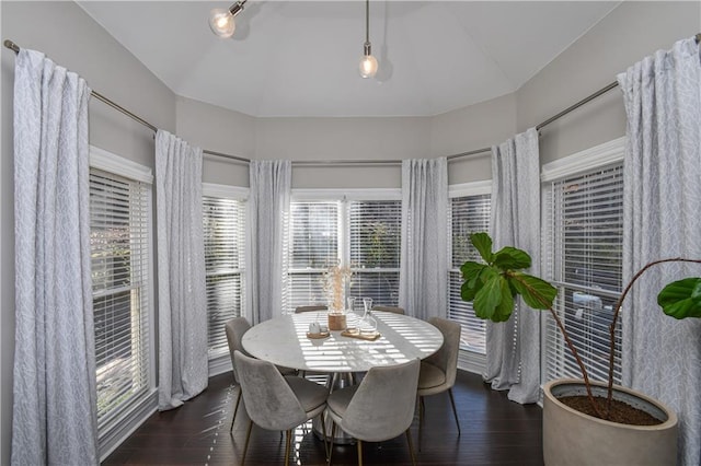 dining room with dark hardwood / wood-style flooring and lofted ceiling