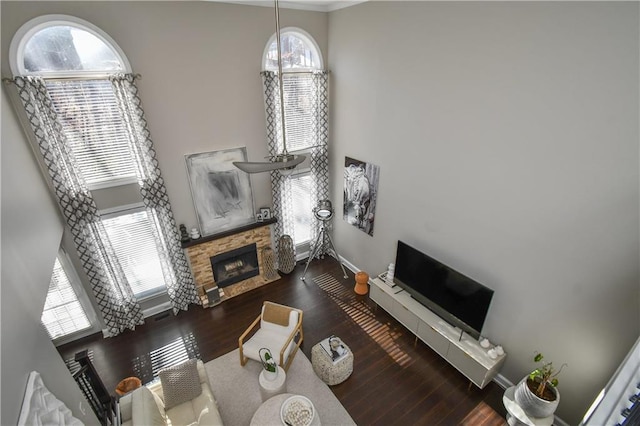 living room with a stone fireplace and dark wood-type flooring