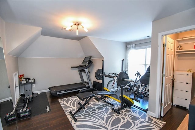 workout room featuring dark hardwood / wood-style flooring