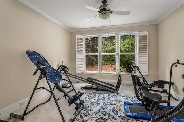 exercise area with carpet, ceiling fan, and crown molding