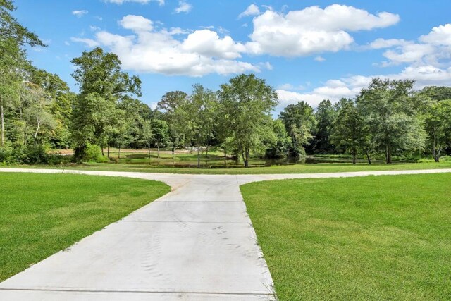 view of home's community with a lawn