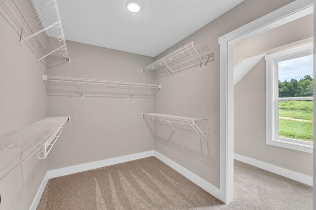 walk in closet with carpet flooring