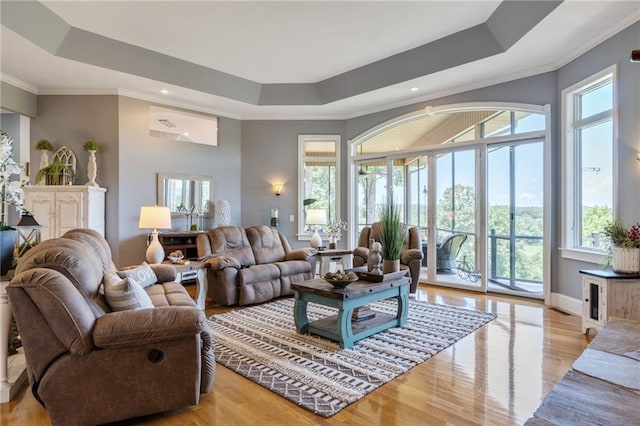 living room with light hardwood / wood-style floors, a raised ceiling, and a healthy amount of sunlight