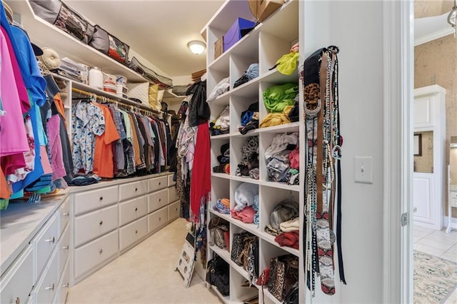 spacious closet featuring light colored carpet