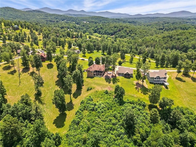 birds eye view of property featuring a mountain view