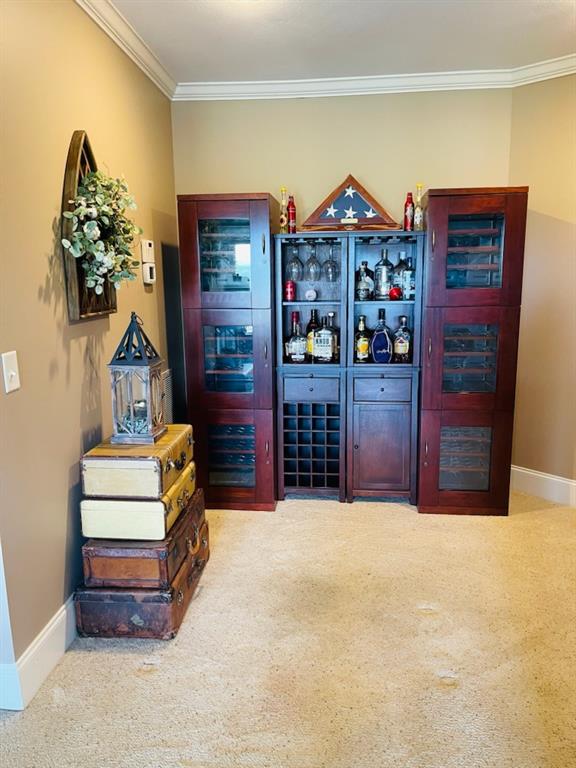 interior space with carpet and ornamental molding