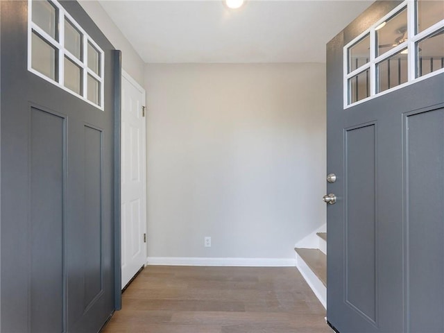 foyer with hardwood / wood-style floors