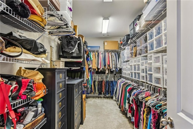 walk in closet featuring carpet