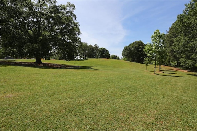 view of community with a yard