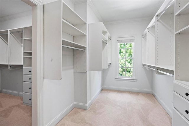 walk in closet with light colored carpet