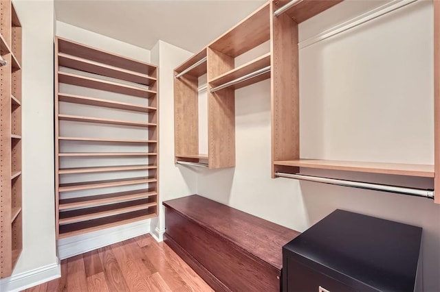 spacious closet featuring wood-type flooring