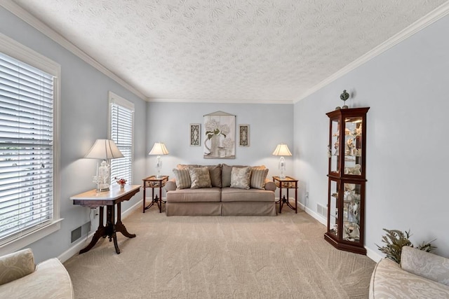 3574 Timberloch Trl, Snellville, GA 30039 - living room with light colored carpet, a textured ceiling, baseboards, and crown molding