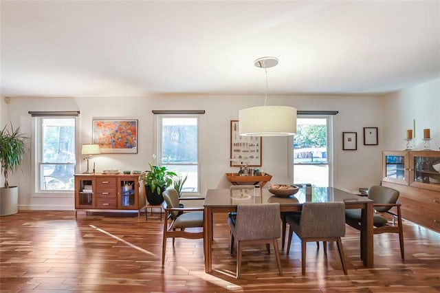 dining area with a healthy amount of sunlight and hardwood / wood-style floors