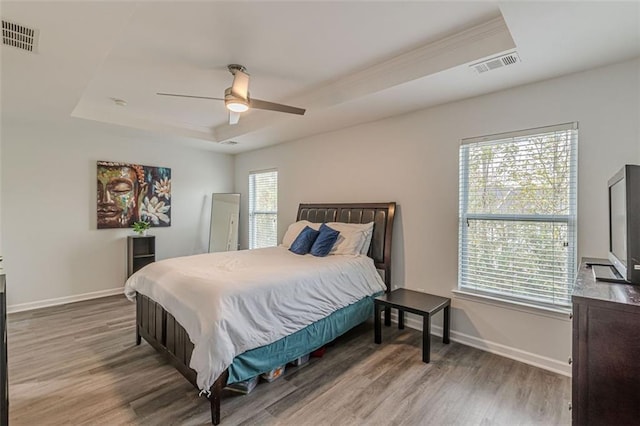 bedroom featuring multiple windows, a raised ceiling, and ceiling fan