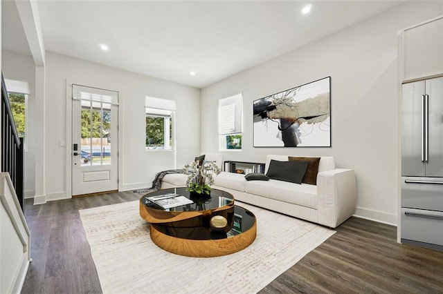 living room featuring dark wood-type flooring