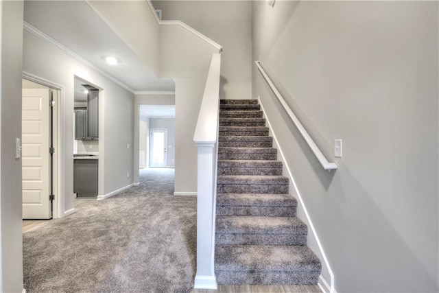 stairway featuring carpet and crown molding