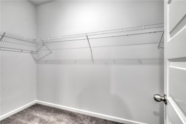 walk in closet featuring carpet flooring