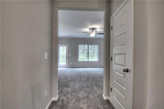 corridor with carpet flooring